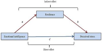 Resilience as a Mediator of Emotional Intelligence and Perceived Stress: A Cross-Country Study